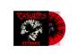 Preview: The Casualties - Detonate LP (Red Black Splatter Vinyl)